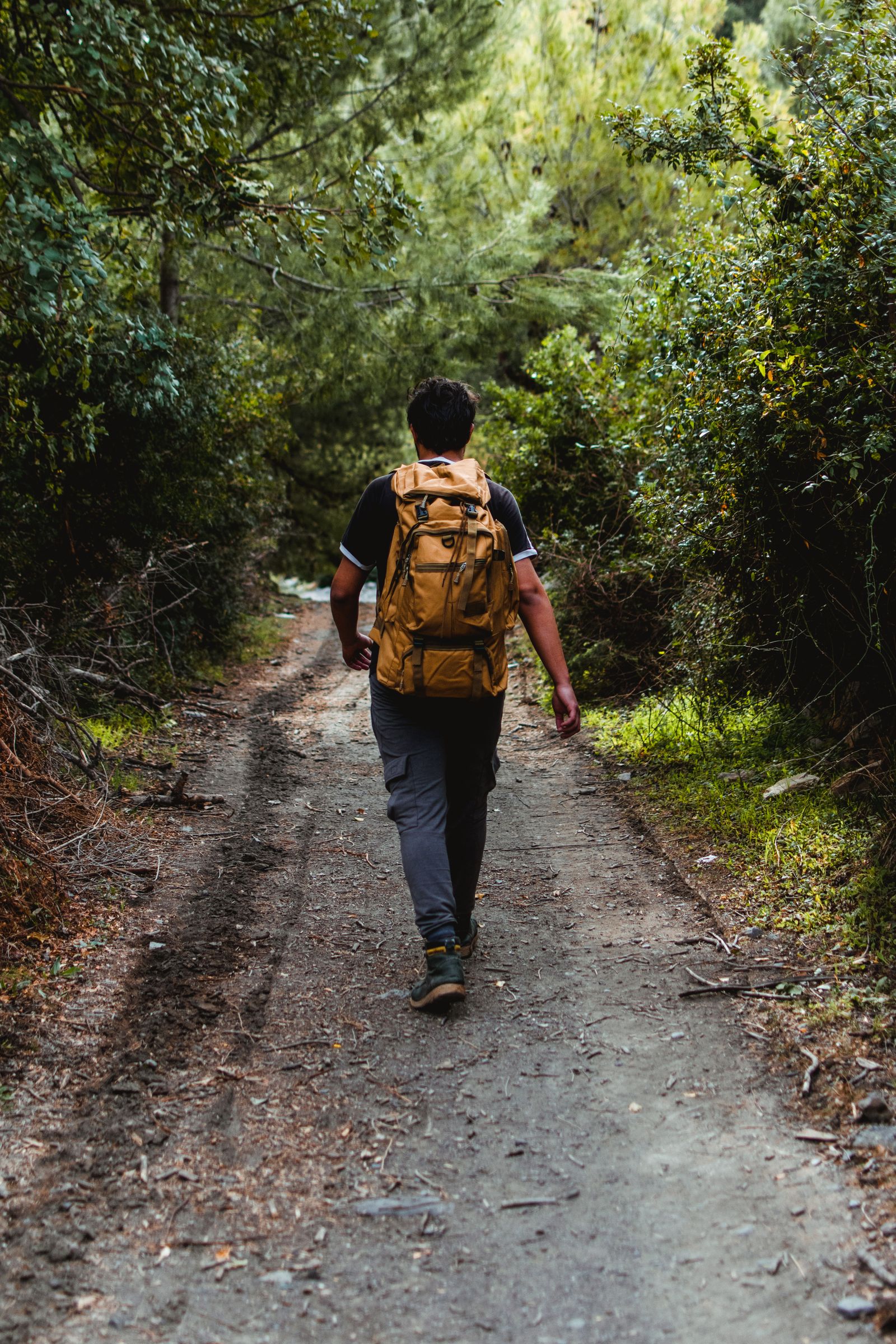 A man hiking on a forest path with a backpack