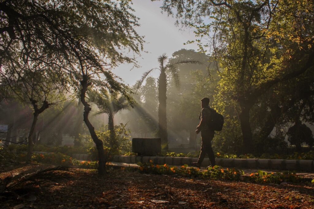 A person walking and enjoying morning sunrays in a park