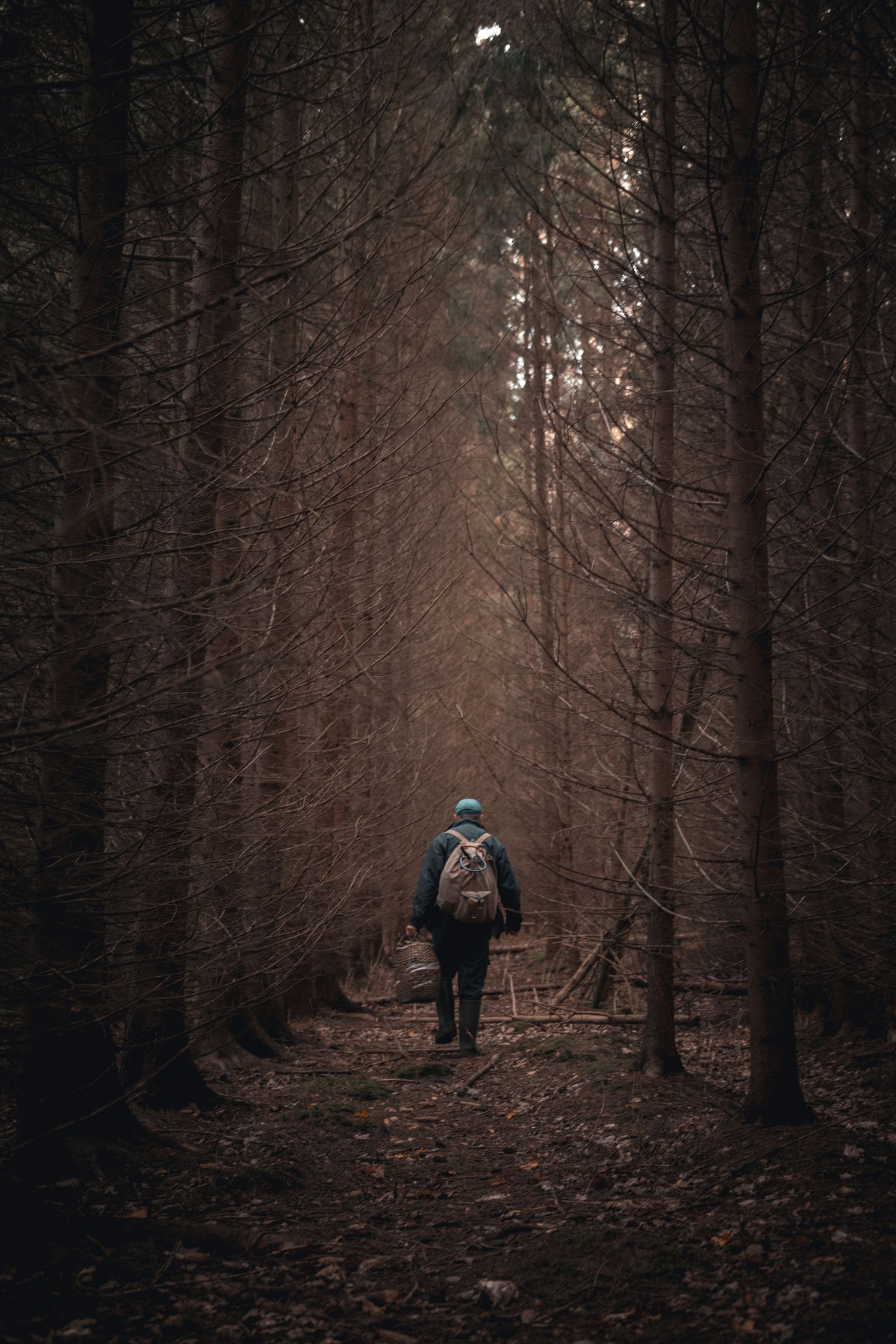 A traveler with a backpack walking through a dense forest path